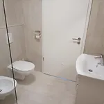 Dalgona Apartma Godler, Appartamento Podcetrtek